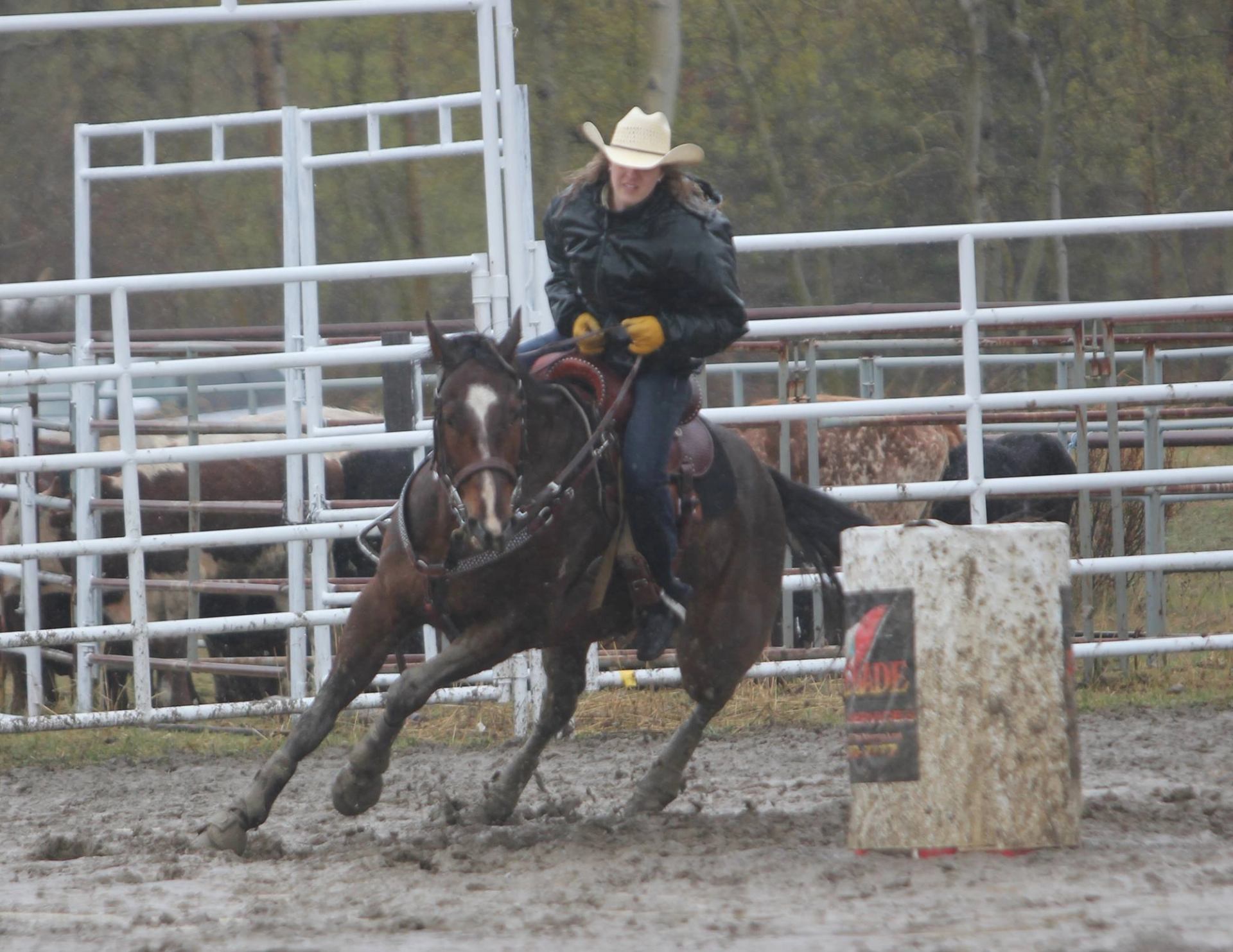 Lady barrel racing on her horse