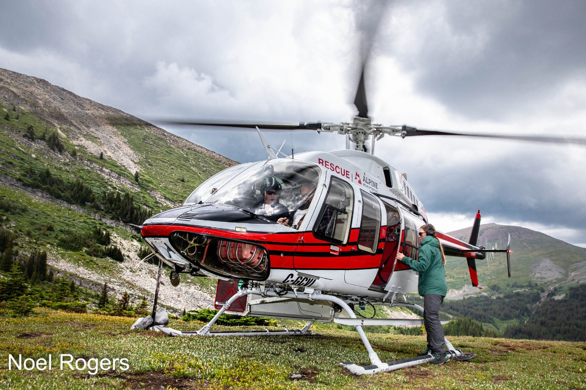 Rescue helicopter on alpine meadow as person loads gear, mountains and clouds in background.
