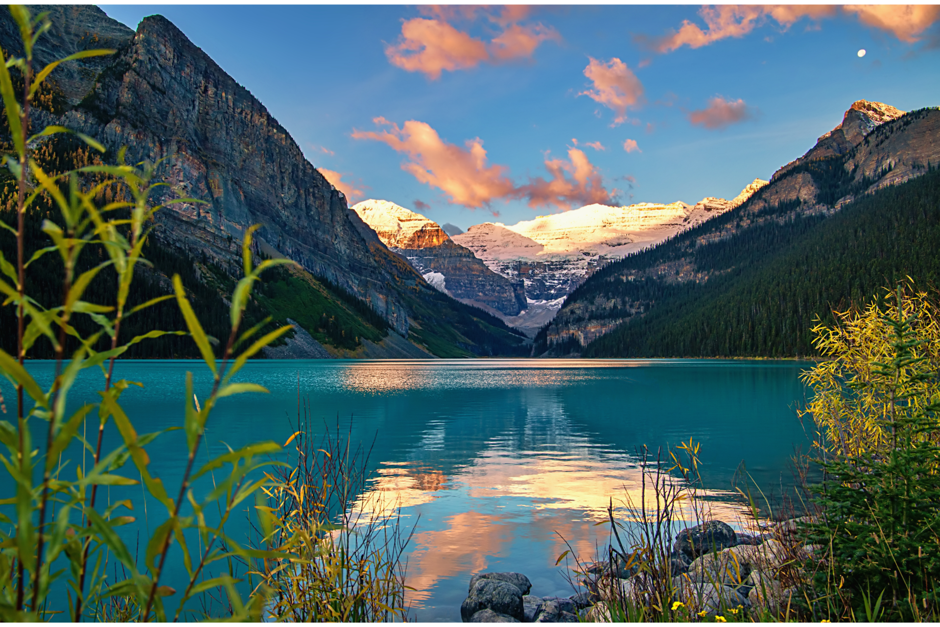Lake Louise at sunrise with calm water, glowing clouds, and plants along the shore.