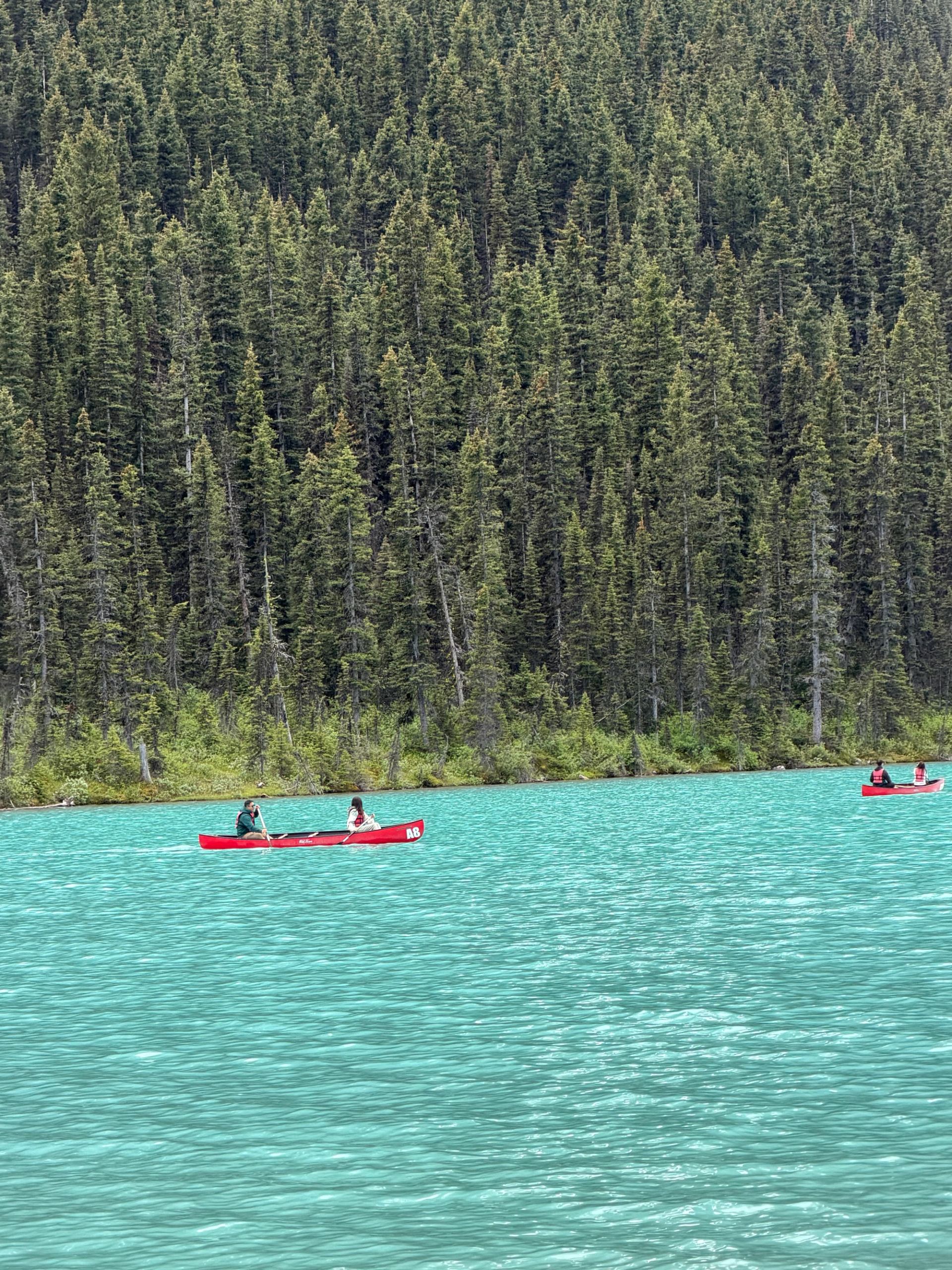 Red canoes paddle across turquoise lake beside dense evergreen forest shoreline.