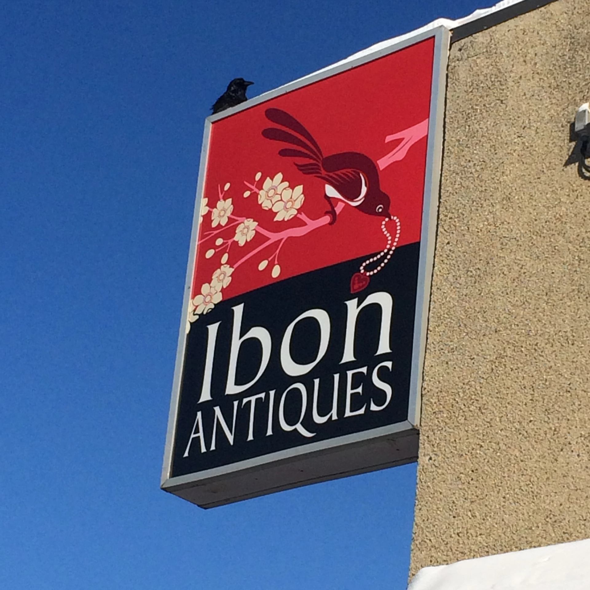 Ibon Antiques storefront sign with bird illustration and perched black bird above.
