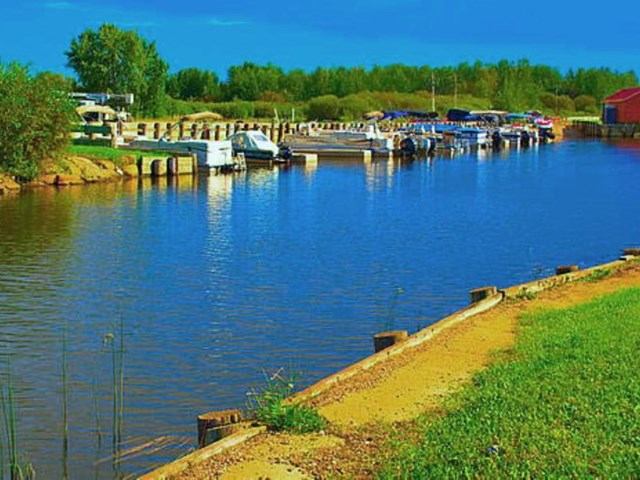 Marina with docks and boats on calm blue water at Lakeview Campground surrounded by green shoreline.