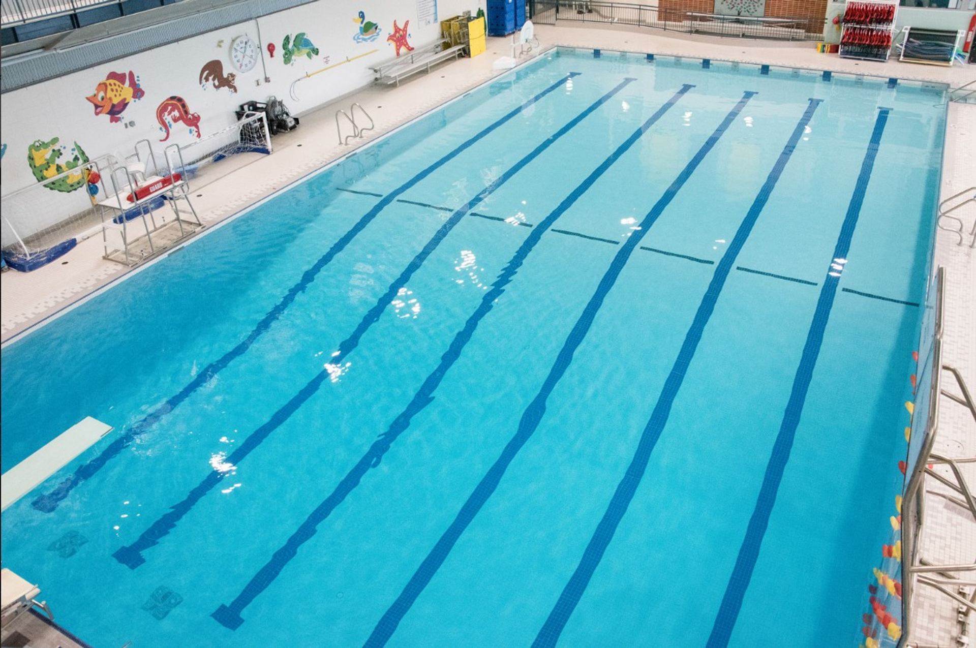 Long rectangular pool with lane markers and aquatic-themed wall art