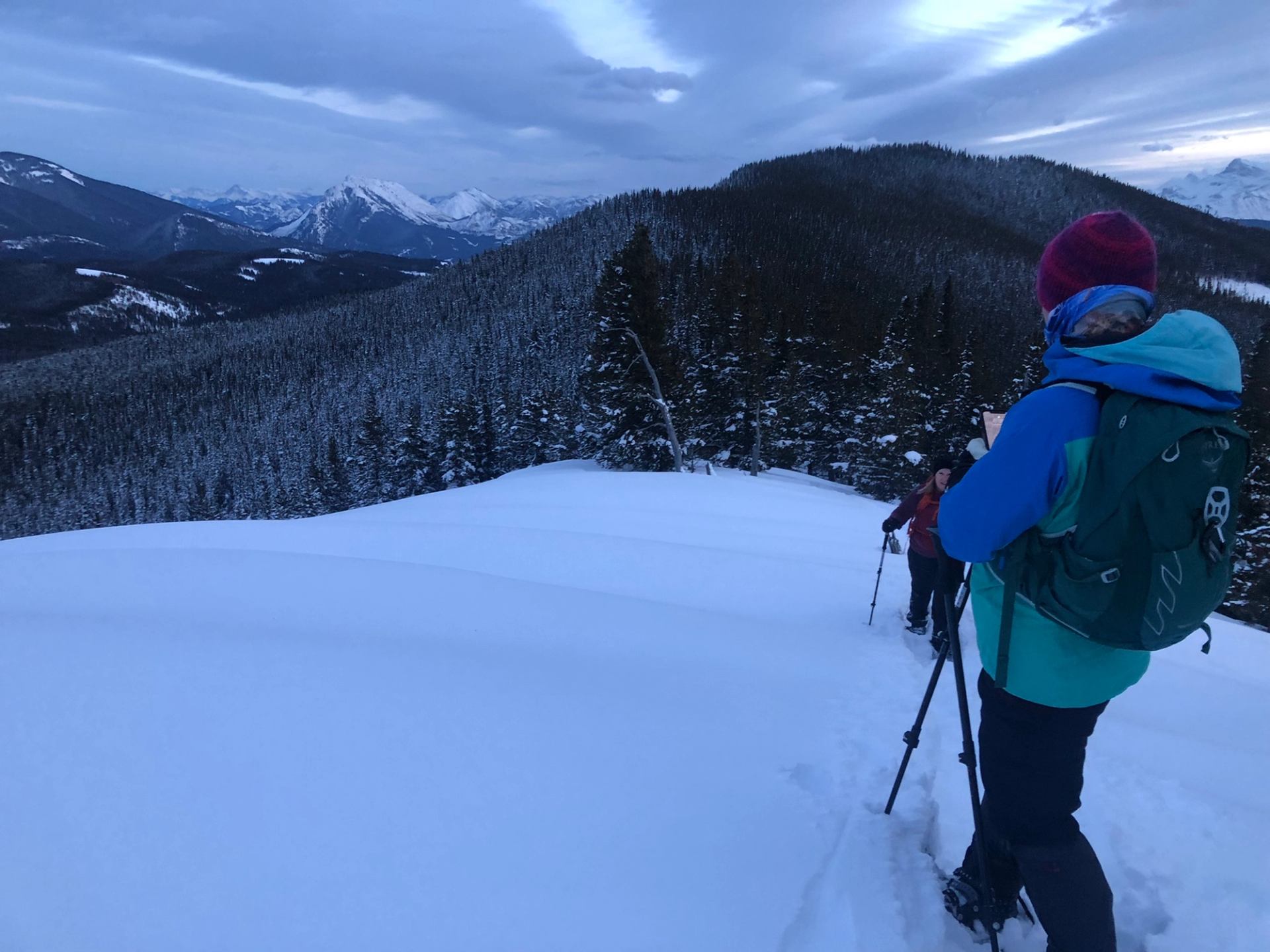 Snowshoers climbing a snowy slope with forested hills and distant peaks in view.