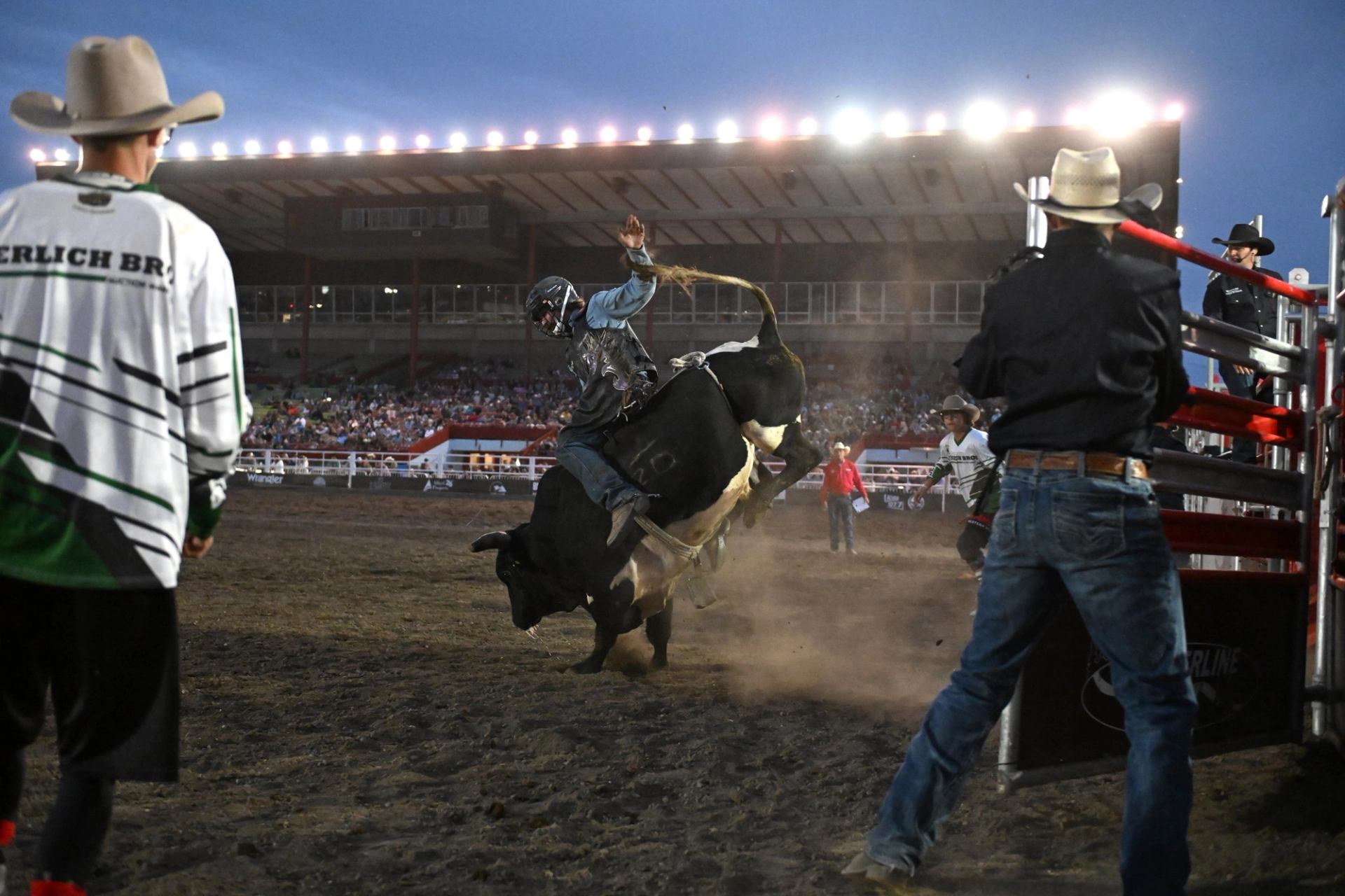 A man trying to stay on the bull