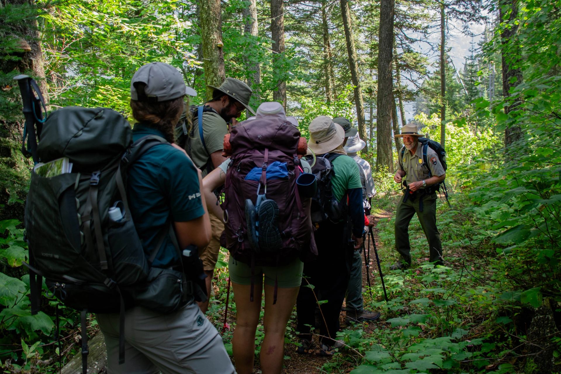 Guided hike group walking on a forest trail, backpacks and hiking poles visible.