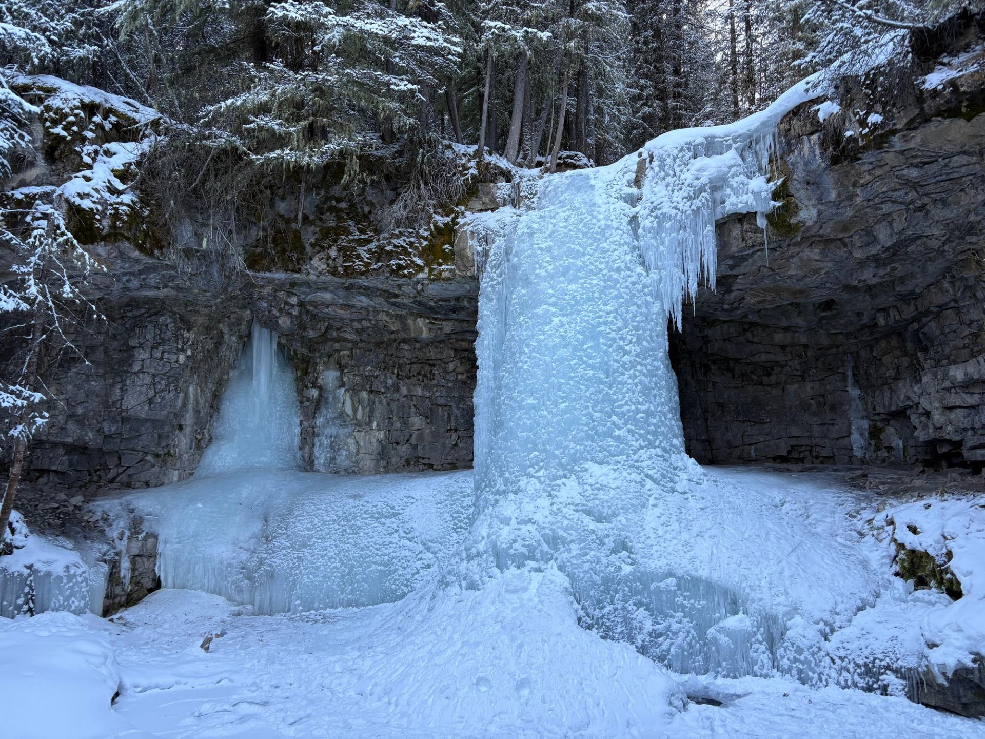 Frozen waterfall and icicles covering rocky cliff beneath snow-covered evergreen trees.