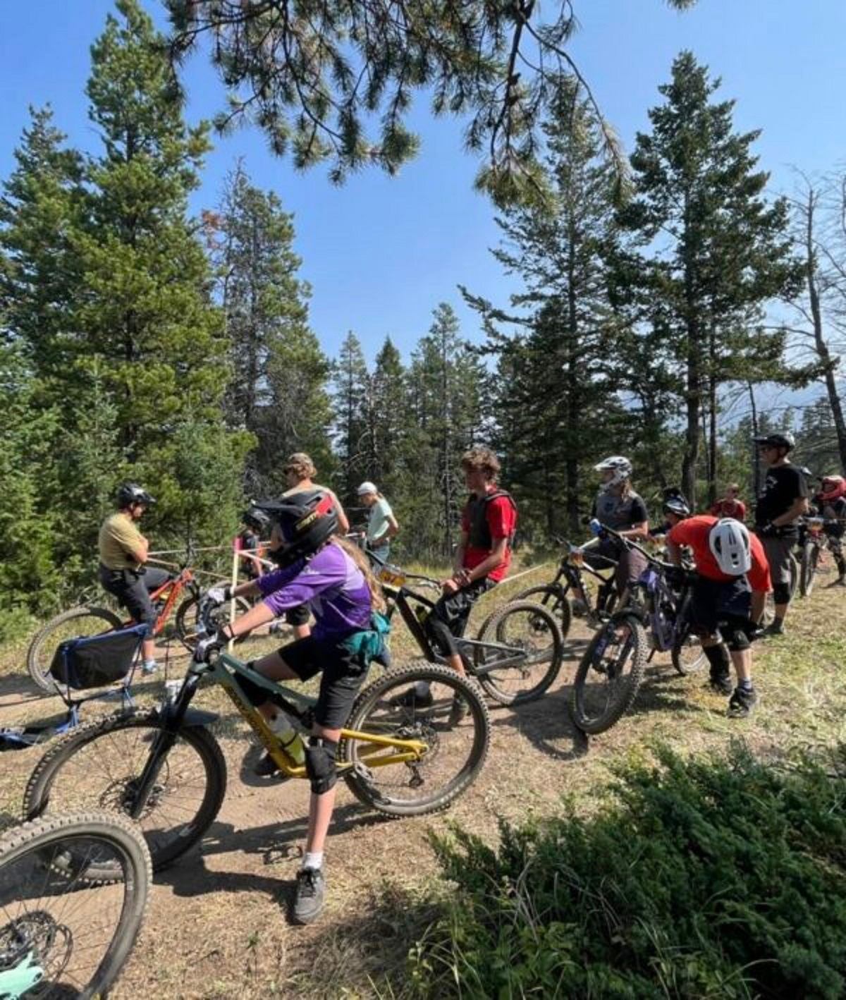 Group of mountain bikers wearing helmets pause on a forest trail surrounded by tall trees.