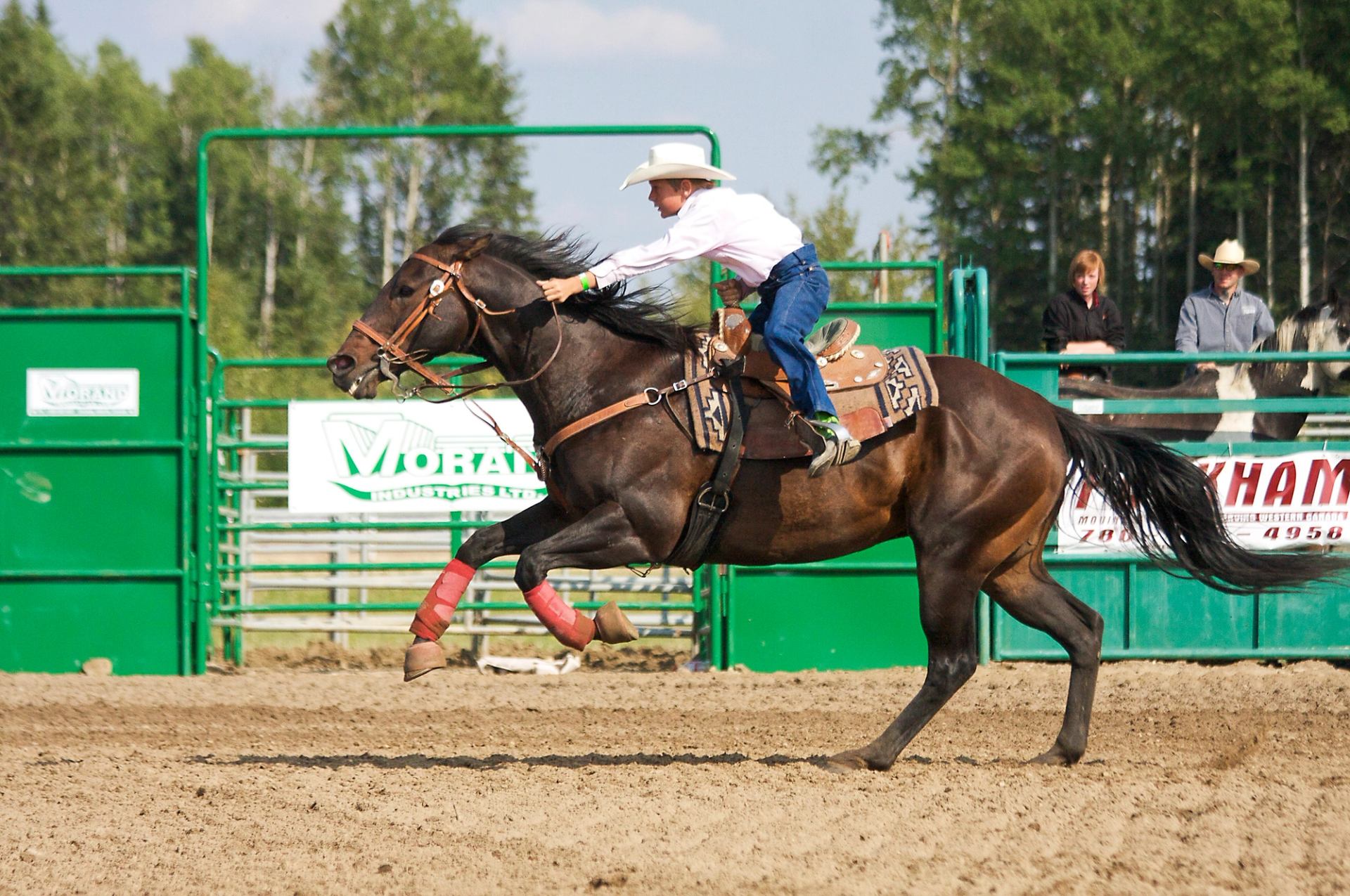 Young rider leaning forward on a galloping horse in a rodeo arena.
