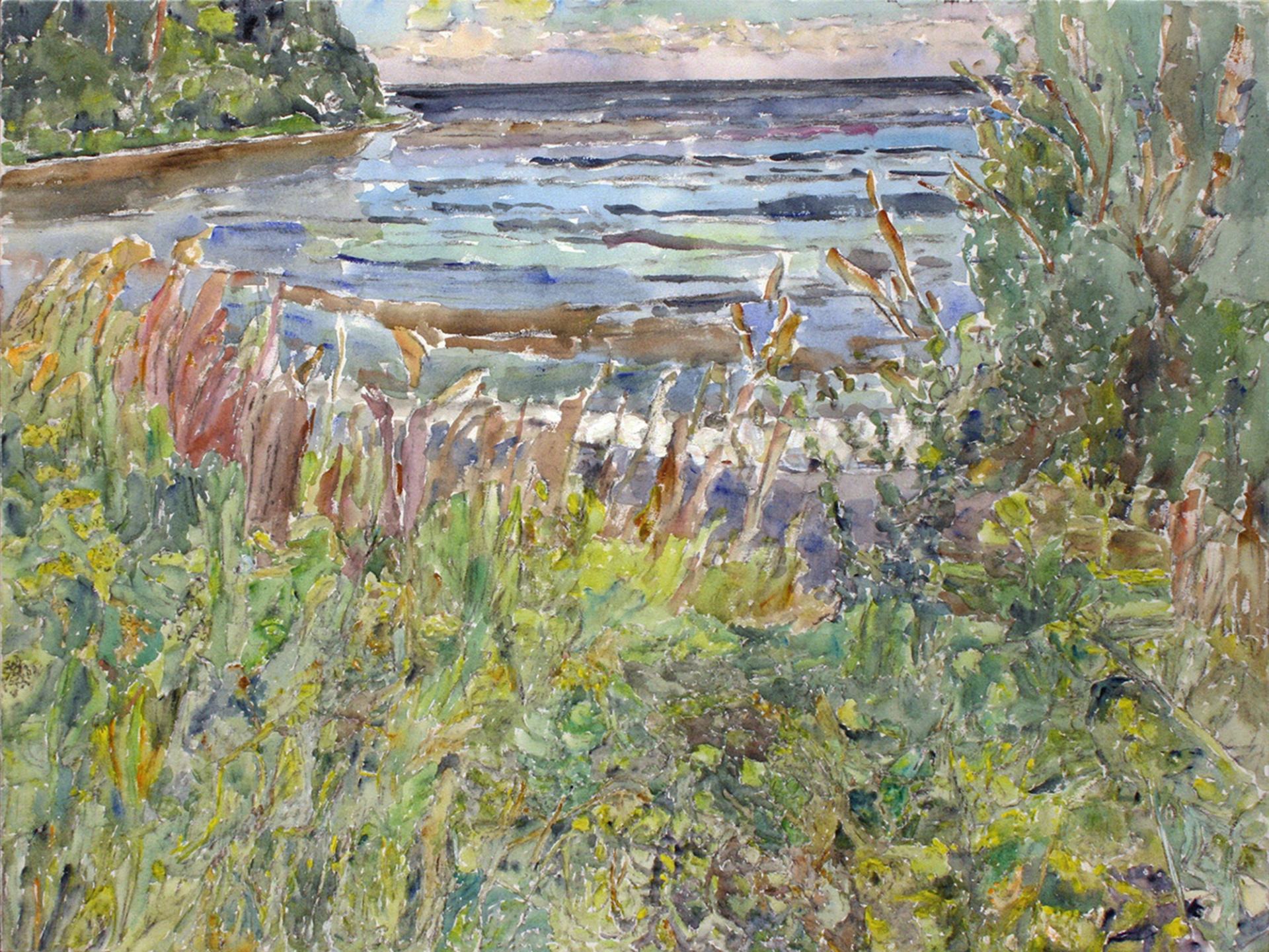 Watercolour painting of dense shoreline vegetation overlooking rippling blue water.