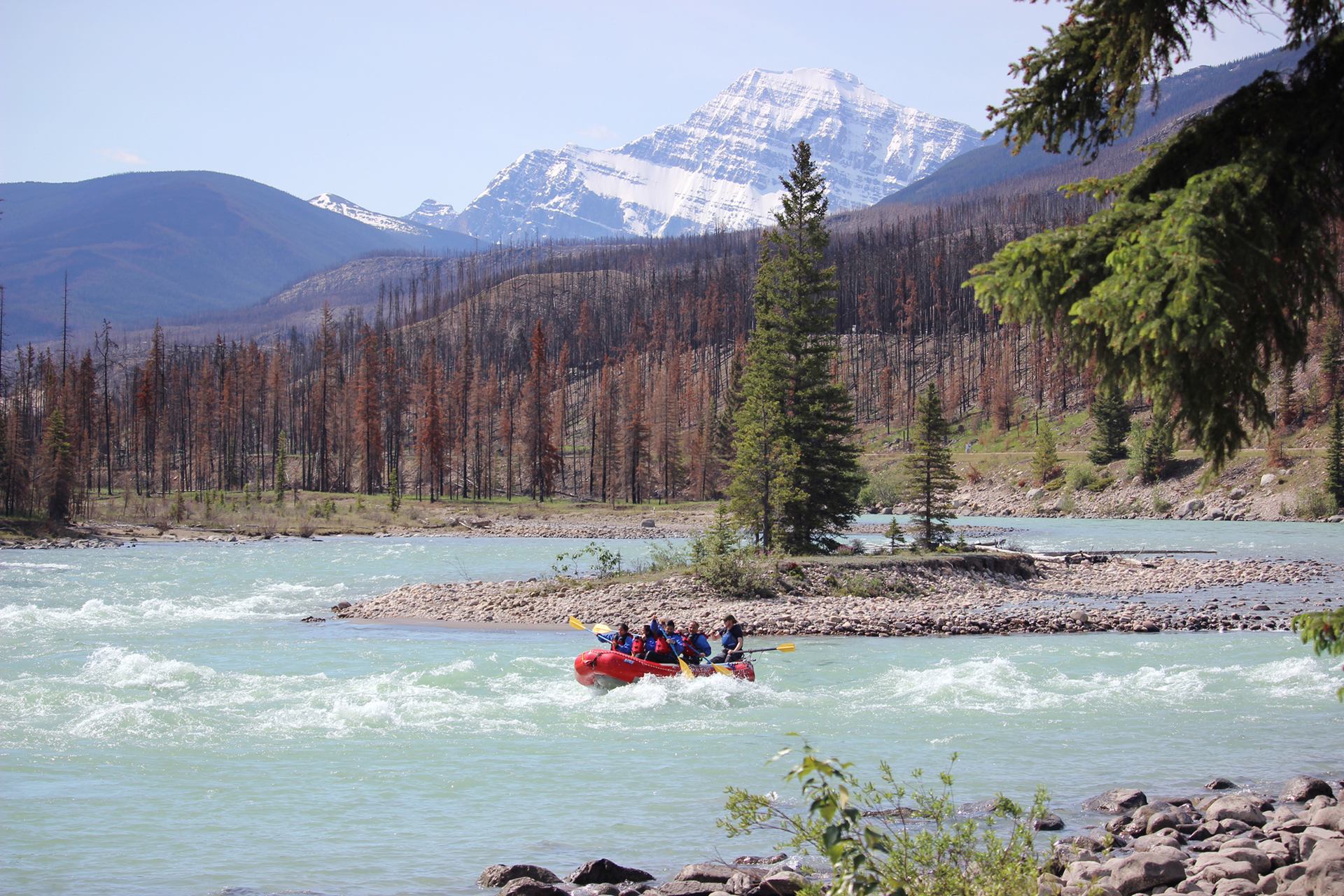 Red raft navigating small rapids on a blue‑green river with mountains and forest behind.