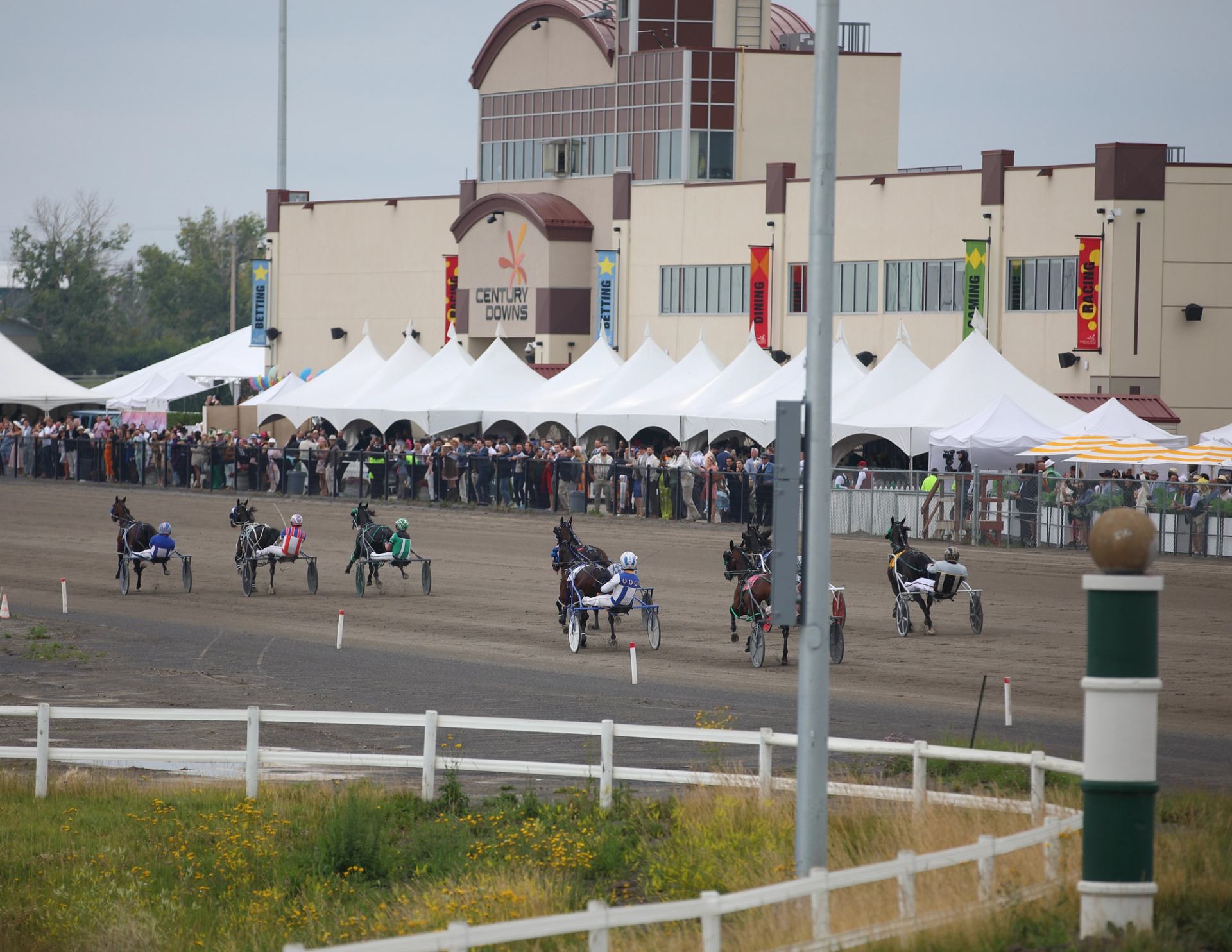 Horses and drivers racing on a dirt track with a crowd and grandstand in the background.