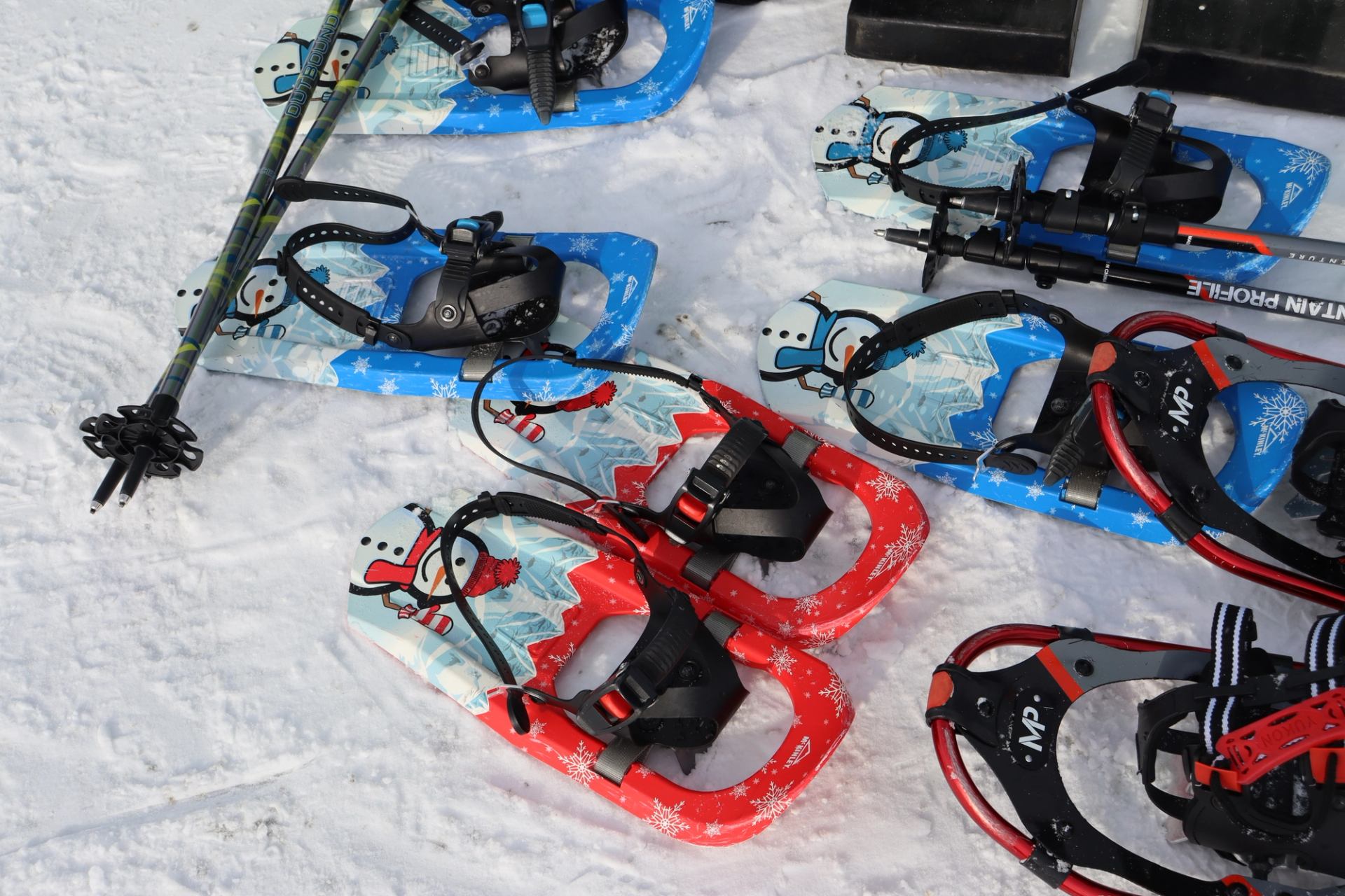 Snow-covered ice skates for dragon boat on an outdoor snow surface, blue and red.
