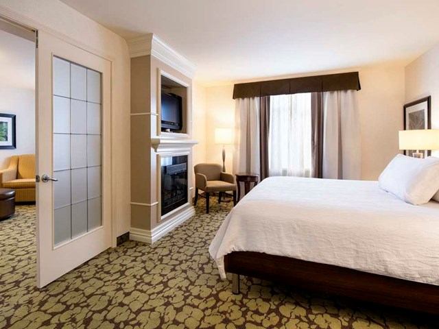 Bright Hilton Garden Inn room with bed, fireplace, and seating area.