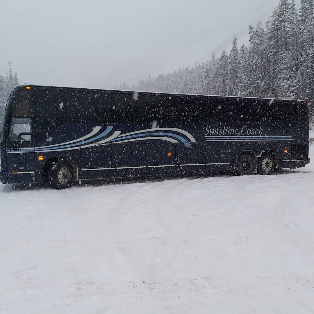 Sunshine Coach Ltd. bus parked in snowy landscape with trees in the background.