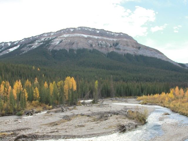 Scenery of the mountains with trees and a river.