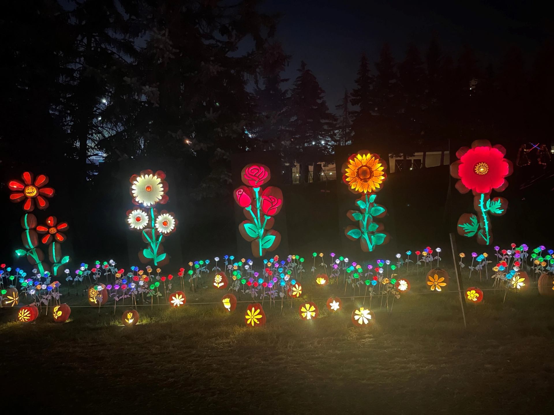 Colorful glowing flowers light up the night in a festive garden display.