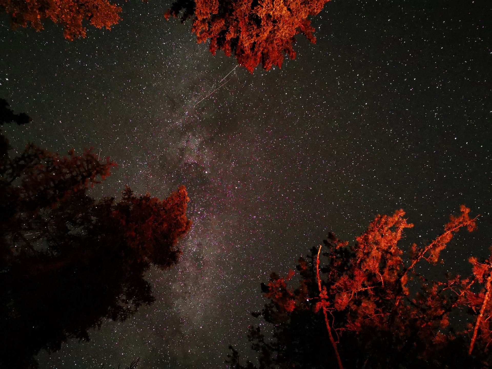 Starry night sky with Milky Way over red-lit trees at Burnstick Lake Campground.
