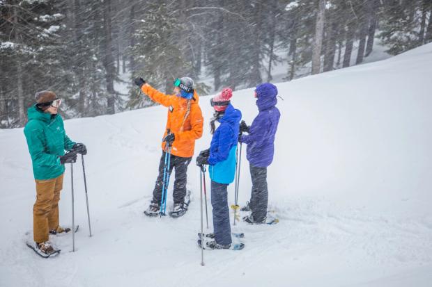 Group of people in a lesson at Castle Mountain Resort.