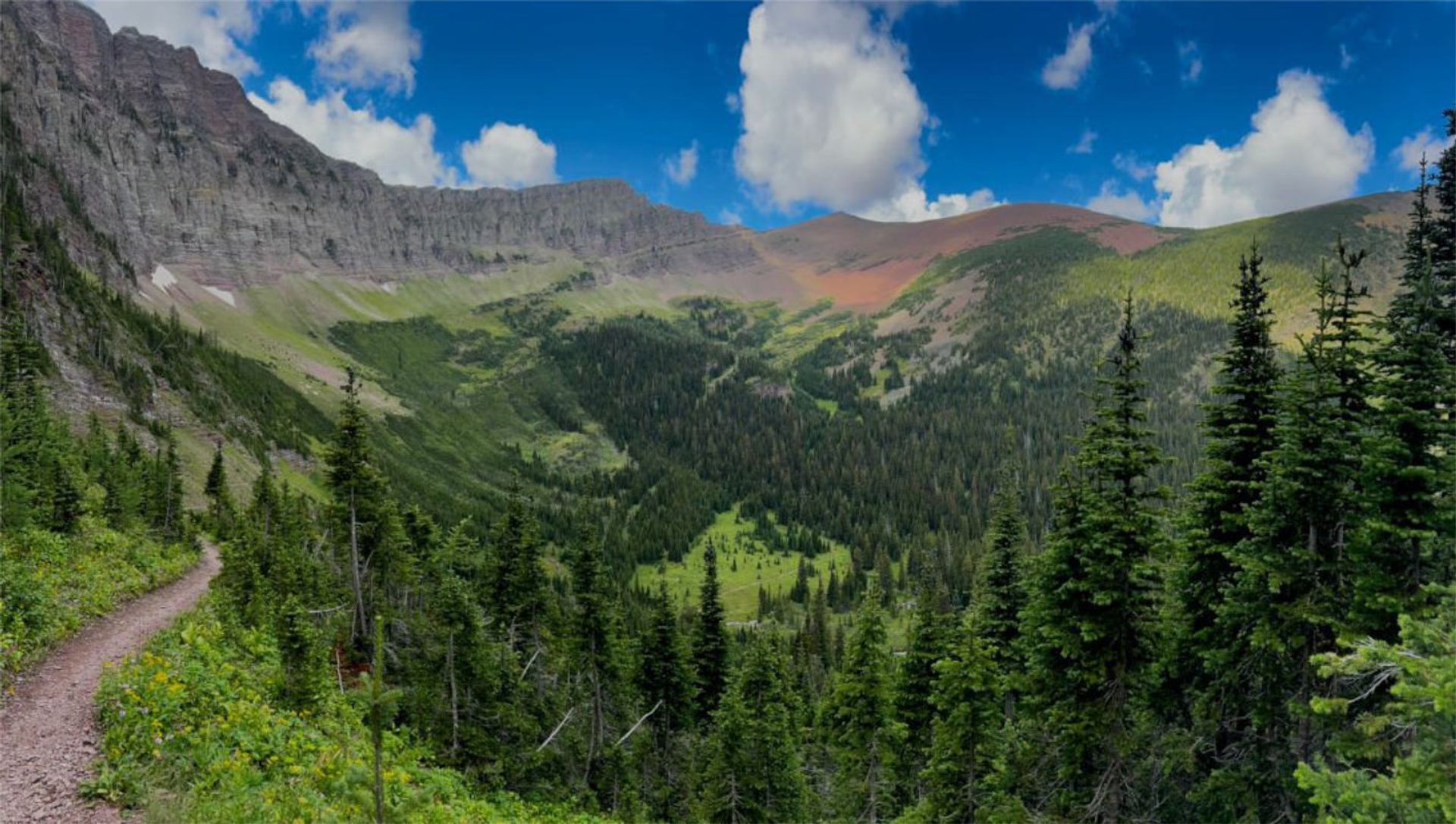 Mountain valley with dense evergreen forest, rocky slopes and dirt trail under blue sky.