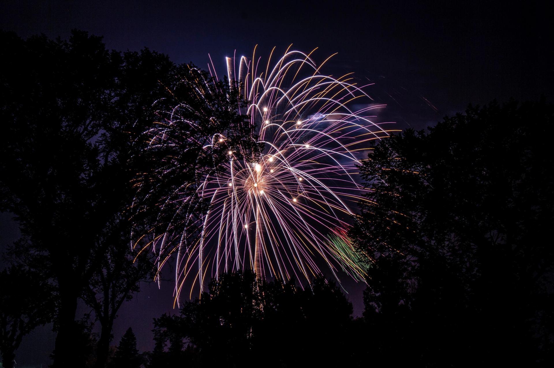 Fireworks burst above tree silhouettes in dark sky.