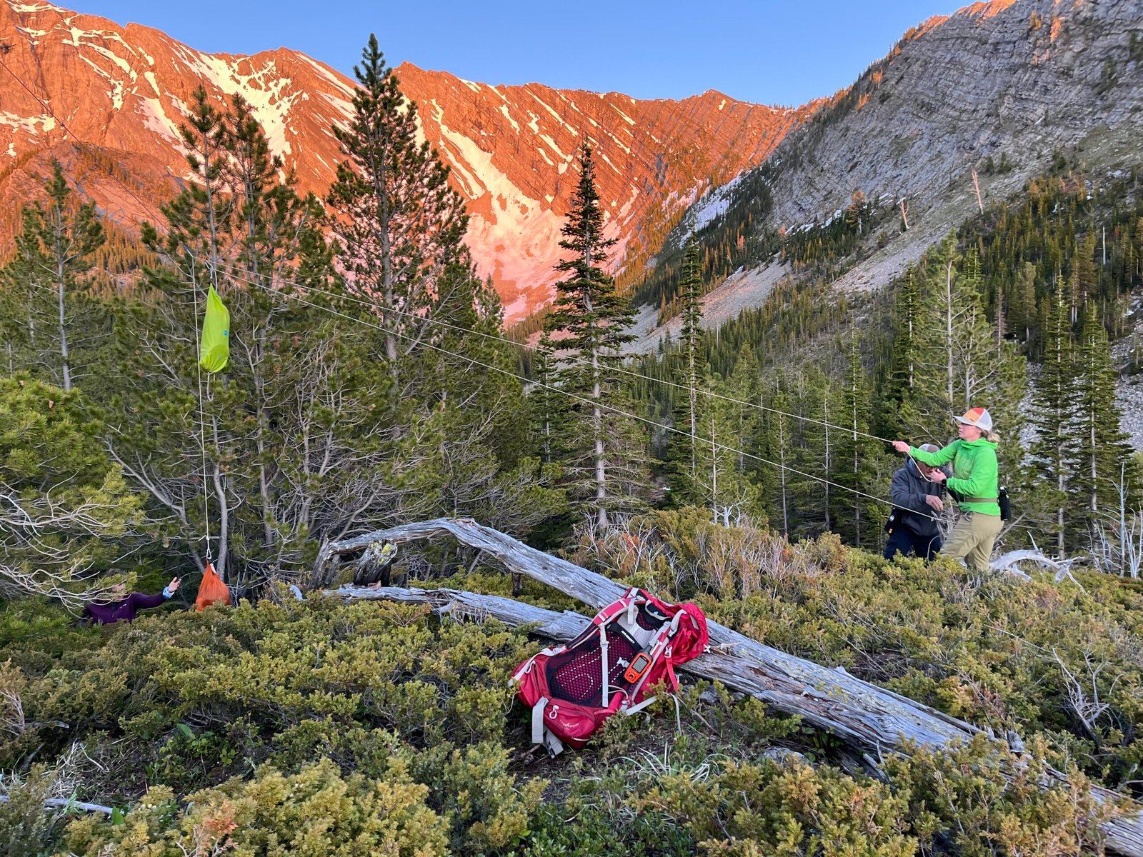 Hikers pull a rope near suspended bags in conifer forest below rocky mountains.