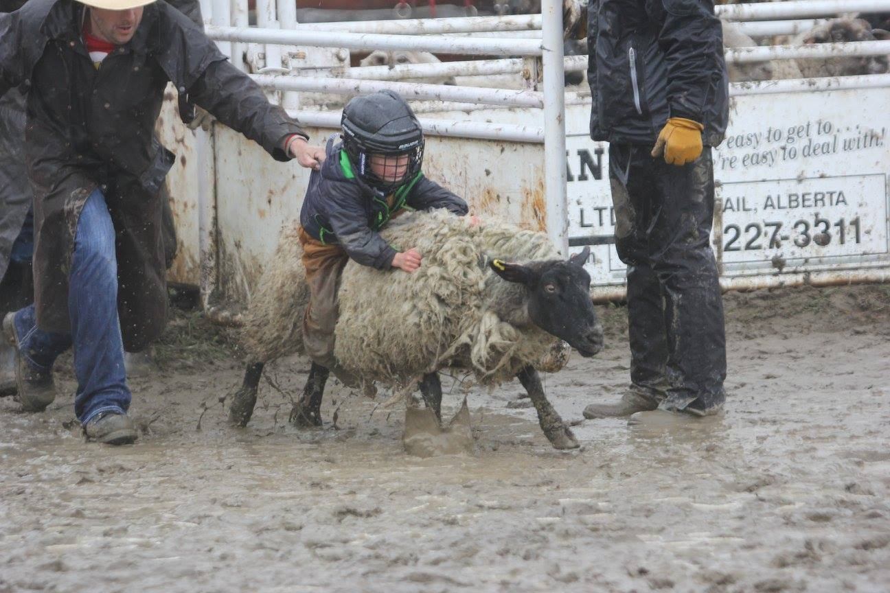 A young child in a helmet rides a sheep through a muddy arena, with an adult helping them.