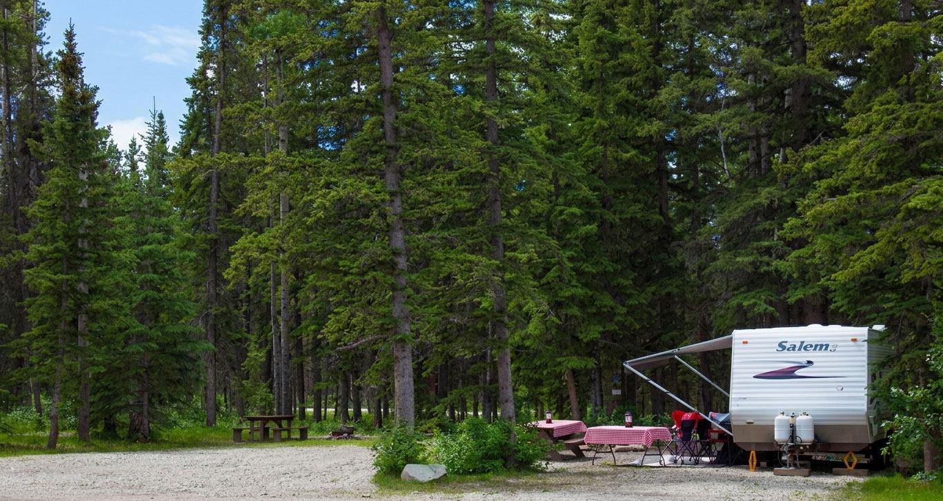 An RV campsite is nestled among tall evergreen trees with picnic tables, a canopy, and a quiet forest setting.