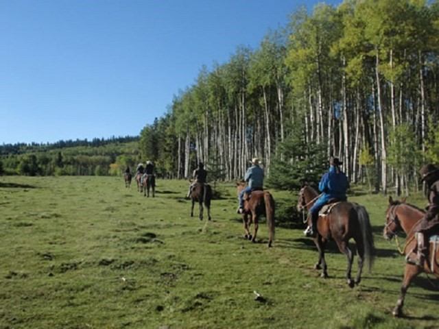 Riding horses on the trail