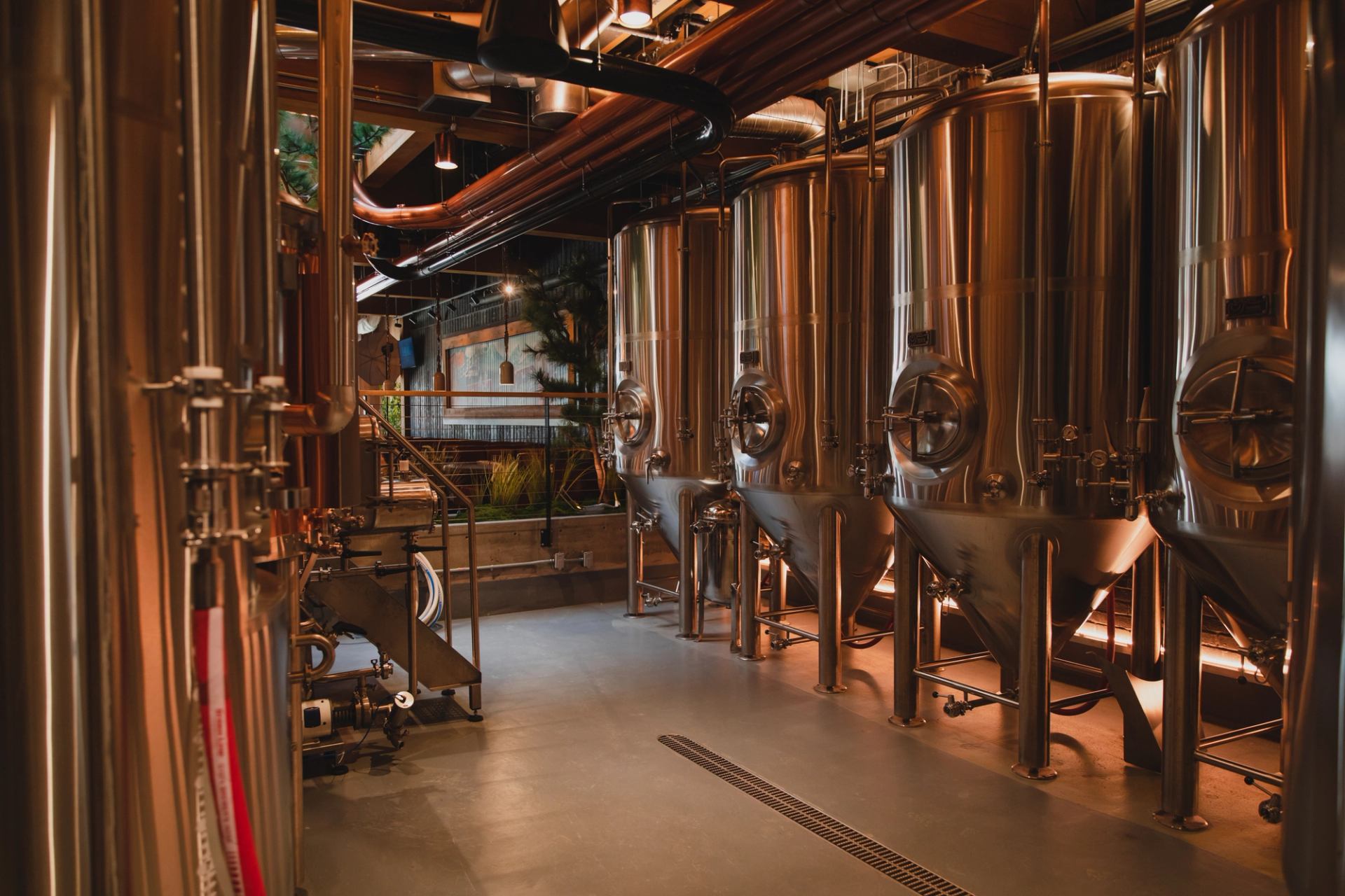 A row of shiny stainless steel fermentation tanks in a modern brewery.