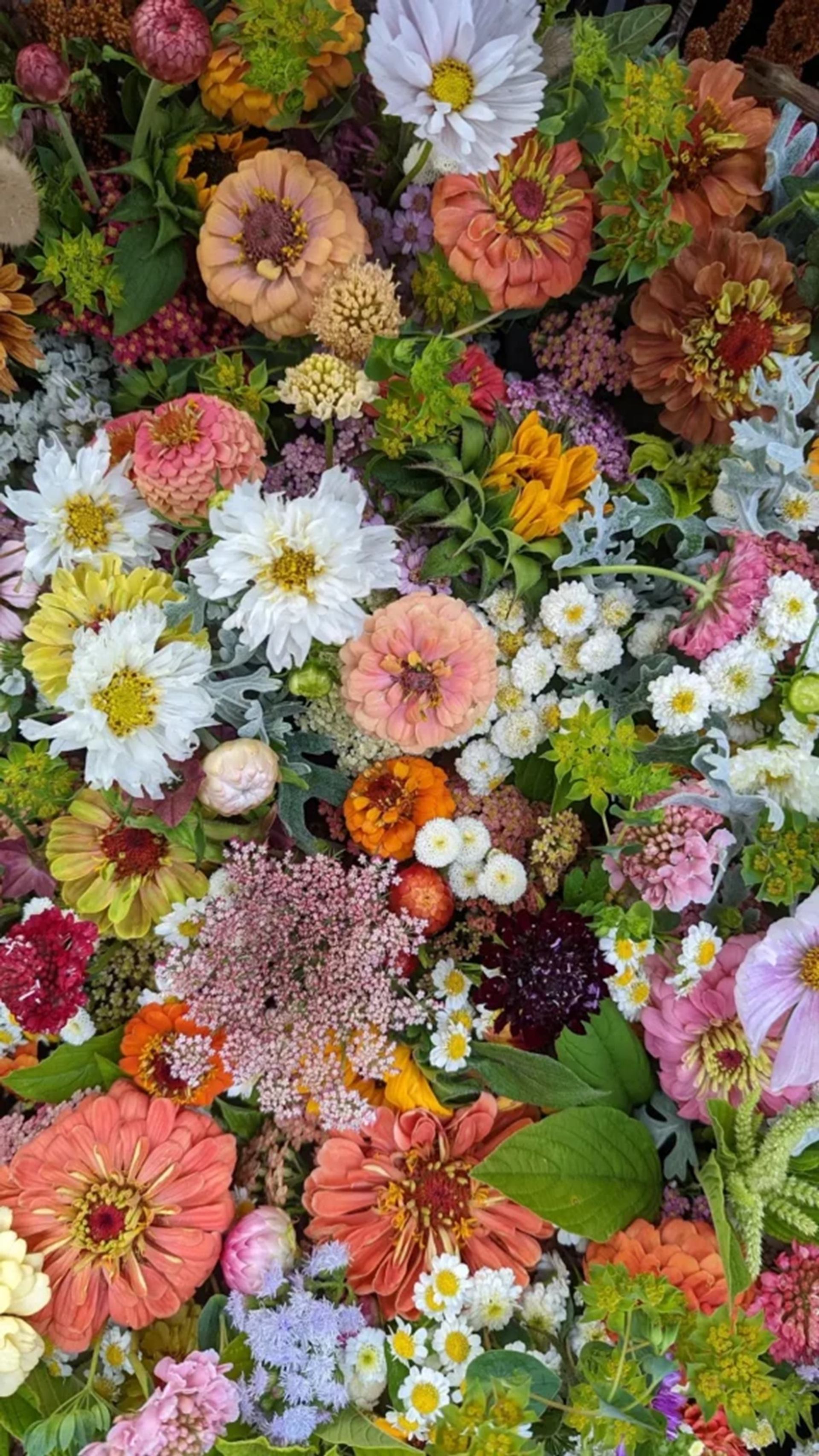Assorted colourful flowers tightly arranged, including zinnias, daisies and greenery.
