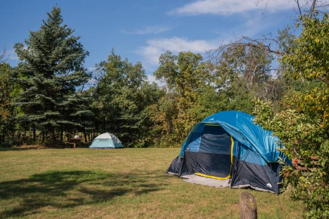 Site at Anthony Henday Campground.