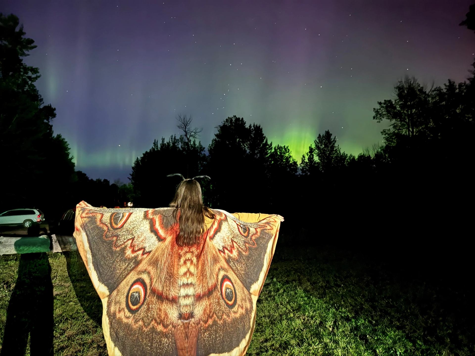 Person wearing large moth-patterned cape stands under green aurora and starry sky.