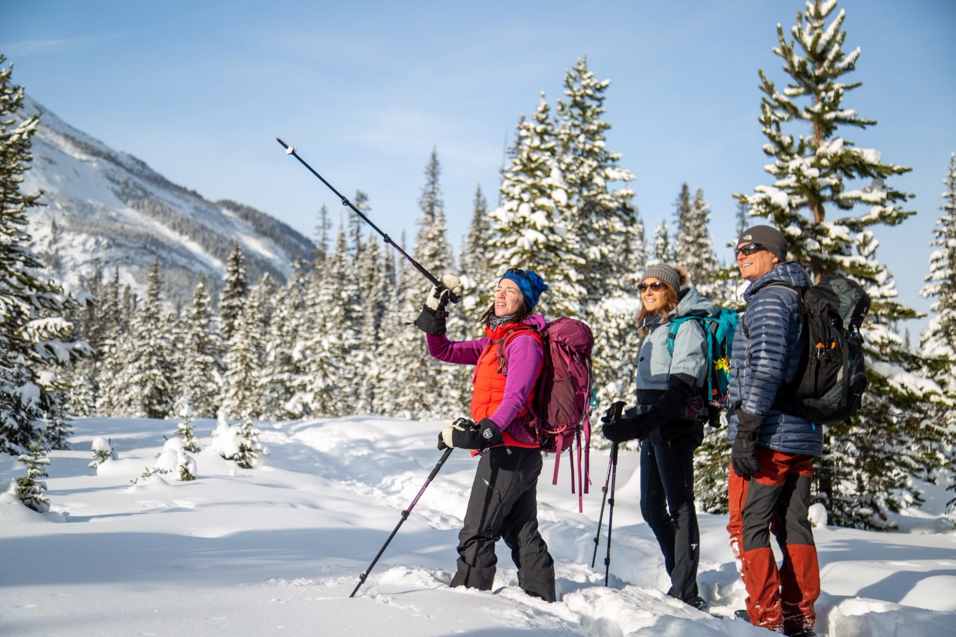 Three people trekking on snowshoes through fresh snow surrounded by tall pine trees