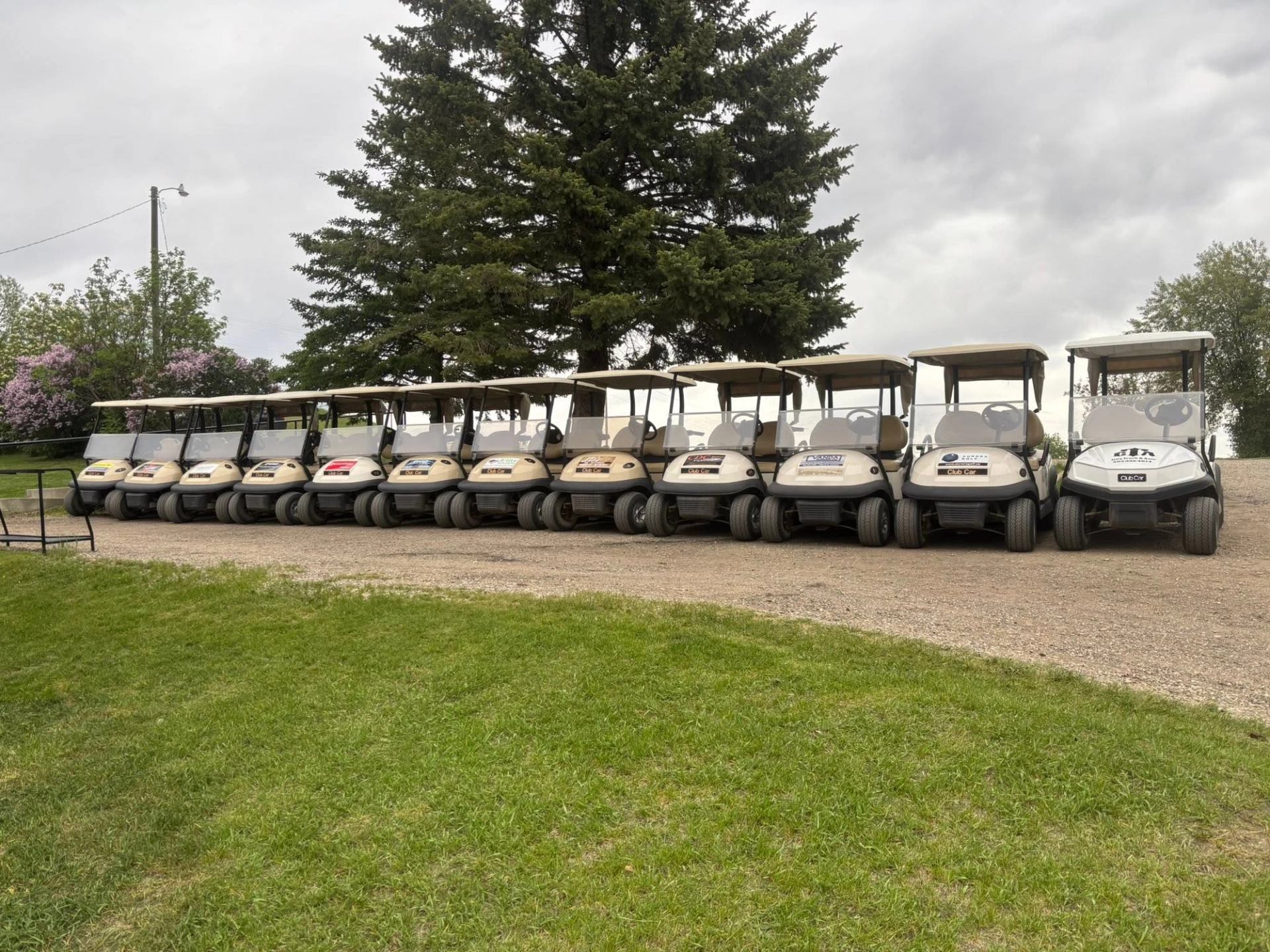 Row of parked golf carts on gravel beside green grass and tall trees.