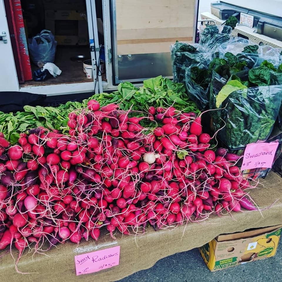 Market stall with fresh radishes and spinach displayed on a burlap-covered table.