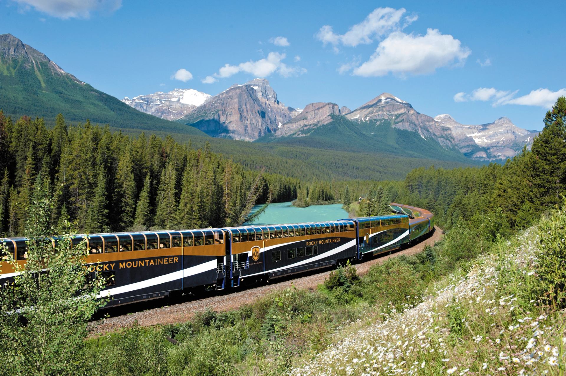 Train traveling through trees with snow-capped peaks in background.