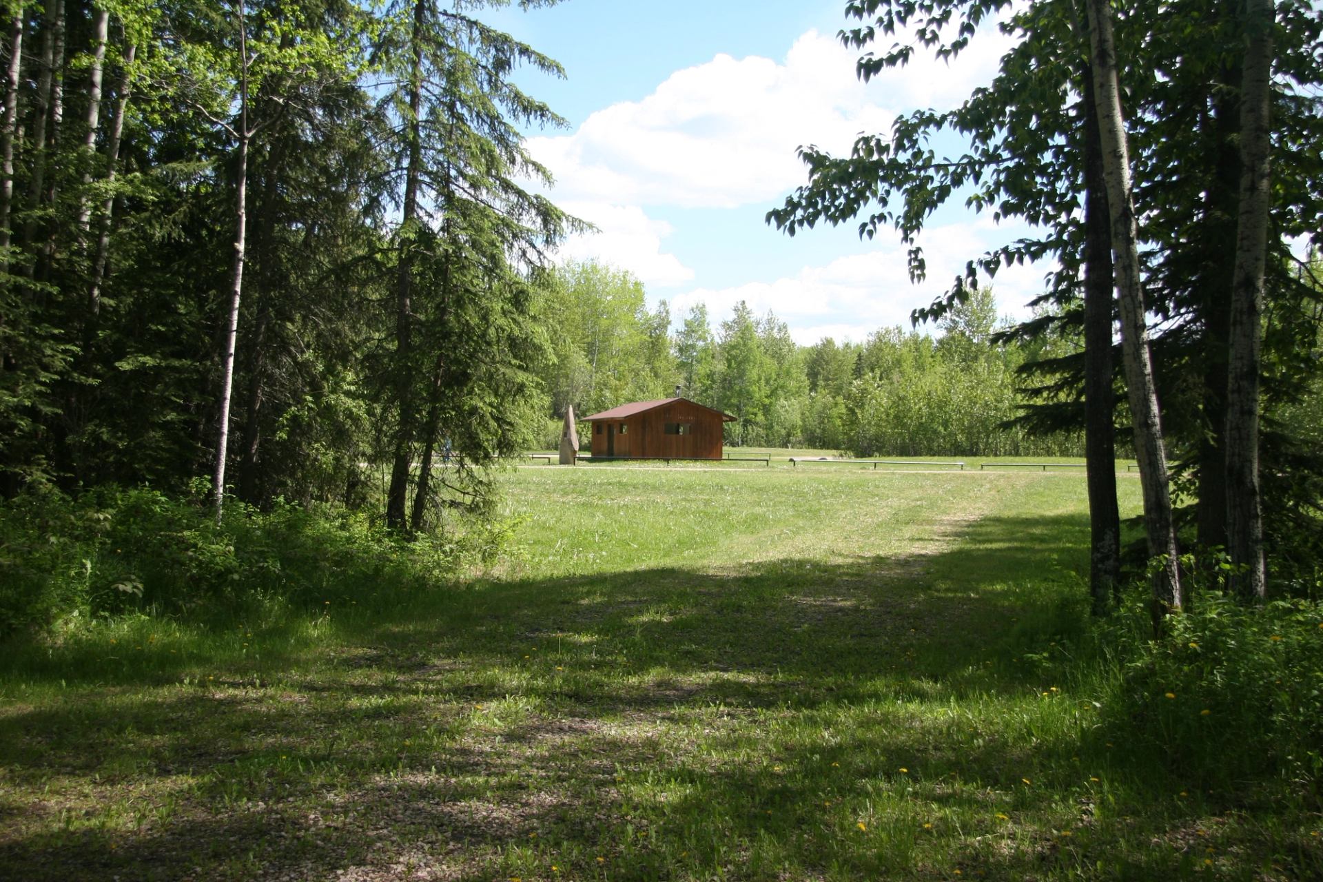 A grassy clearing with a small wooden building surrounded by tall forest trees.