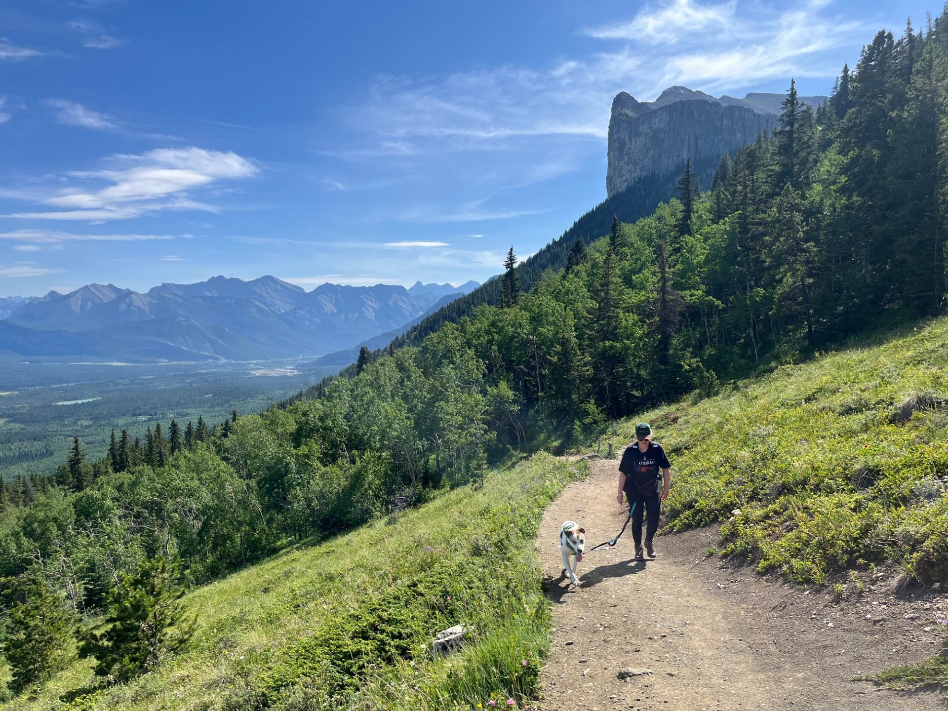 Hiker walking a dog on a mountain trail with forest and distant peaks.
