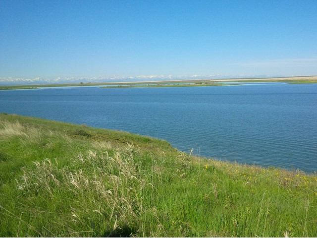 Grassy shoreline beside calm blue lake under clear sky with distant flat fields.