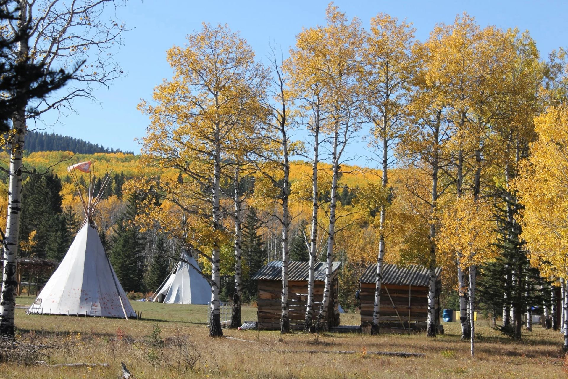 Tipis and small wooden cabins stand among tall yellow-leaved trees beside forested hills.