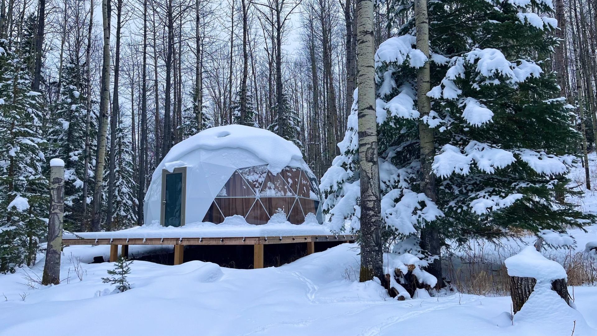 Snow-covered geodesic dome cabin in a winter forest setting.