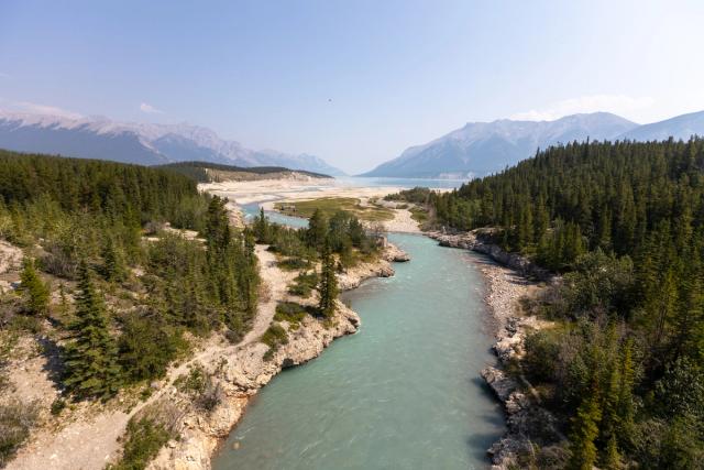 A river flowing into Abraham Lake.