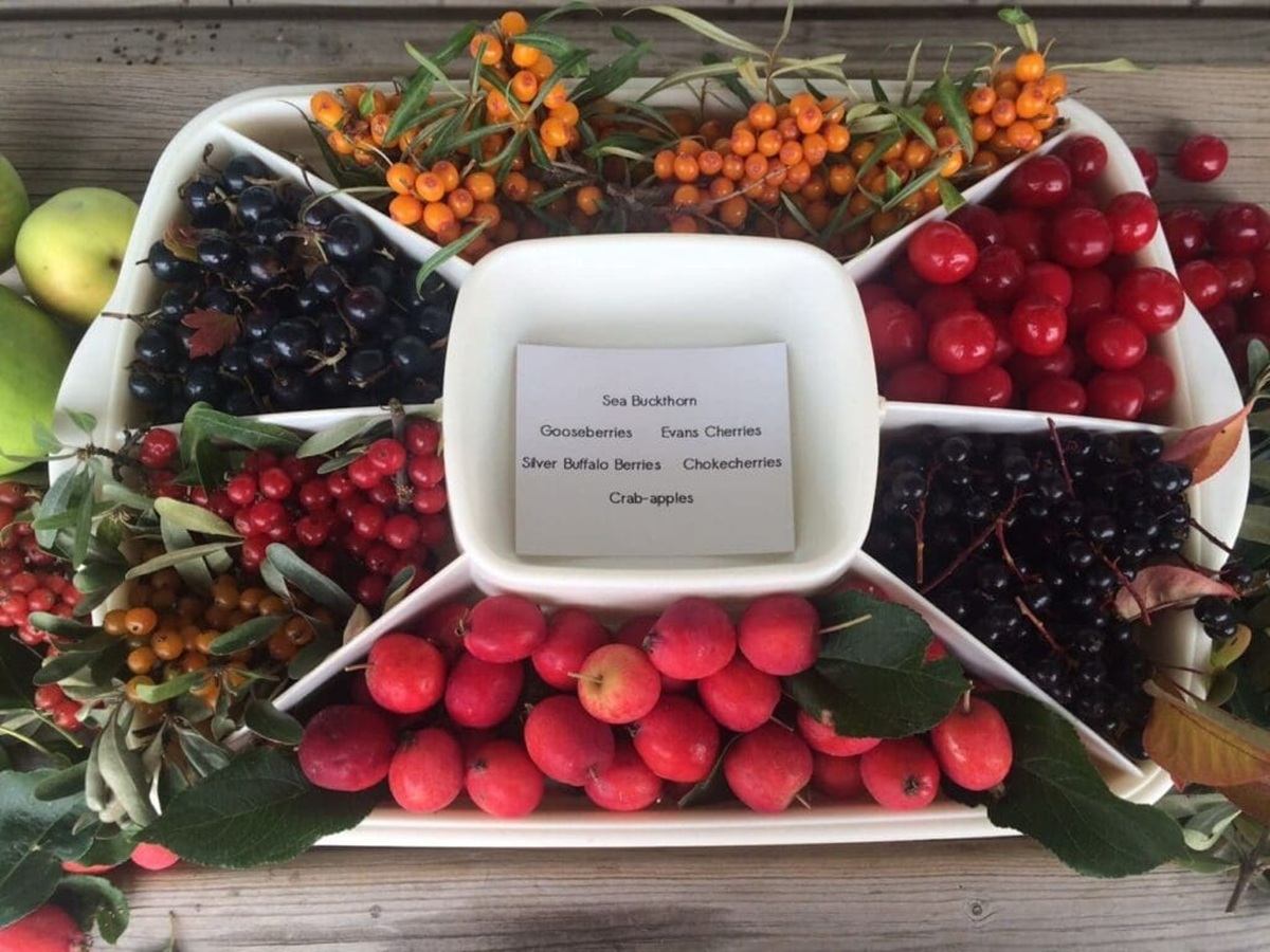 Divided serving tray with assorted colourful berries and crab apples around a printed label.