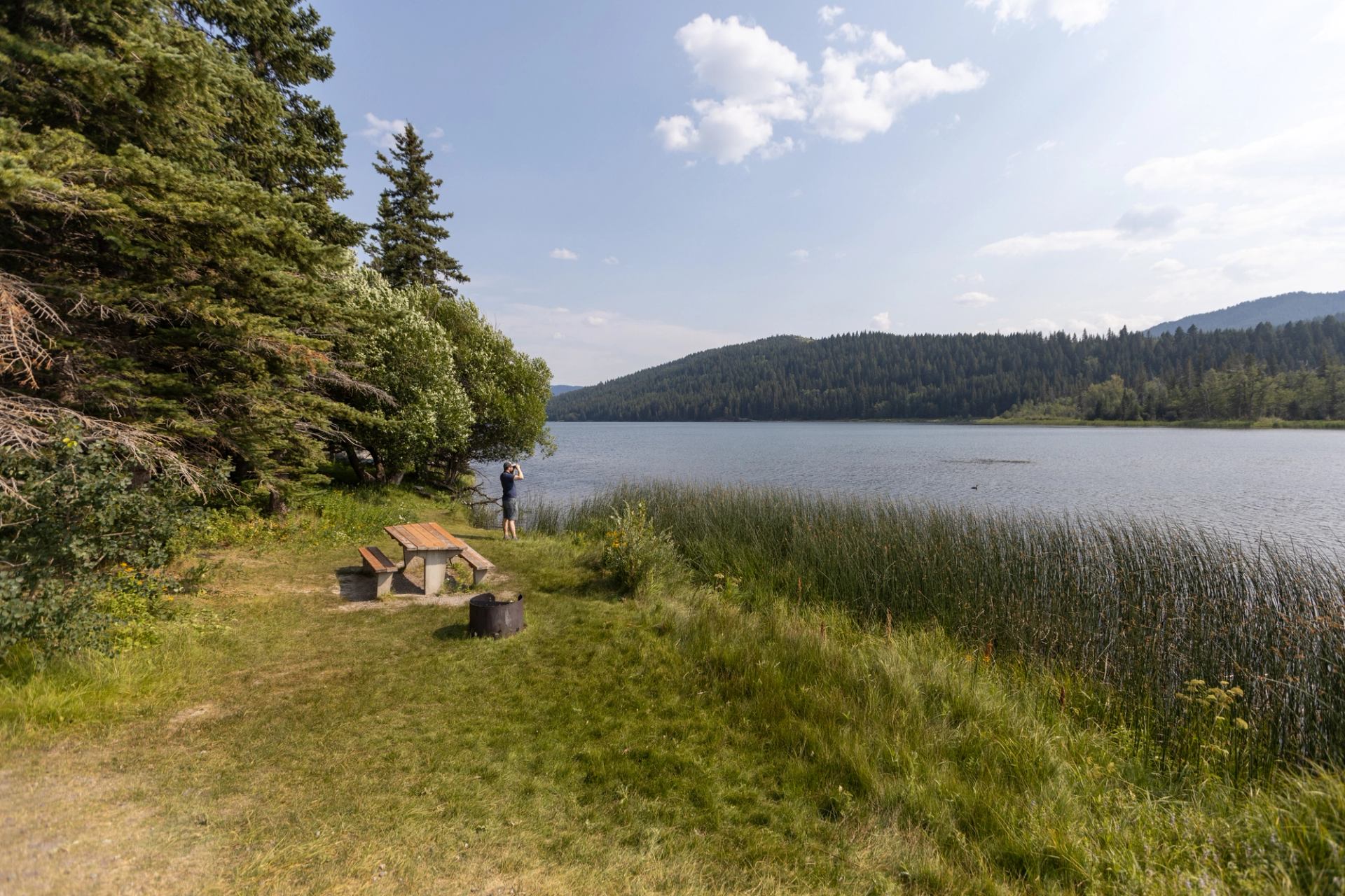 A lakeside picnic area with grass, reeds, and forested hills in the distance.