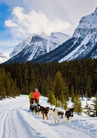 A couple and guide on a dog sledding tour, mountains and forest in the background, in Lake Louise, Banff National Park 