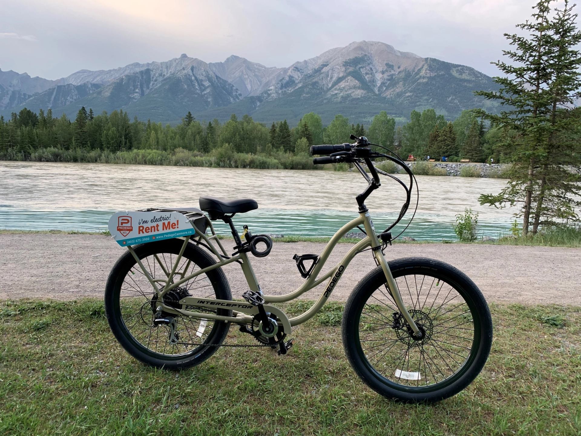 Beige bike parked on grass near river with mountain and forest backdrop.