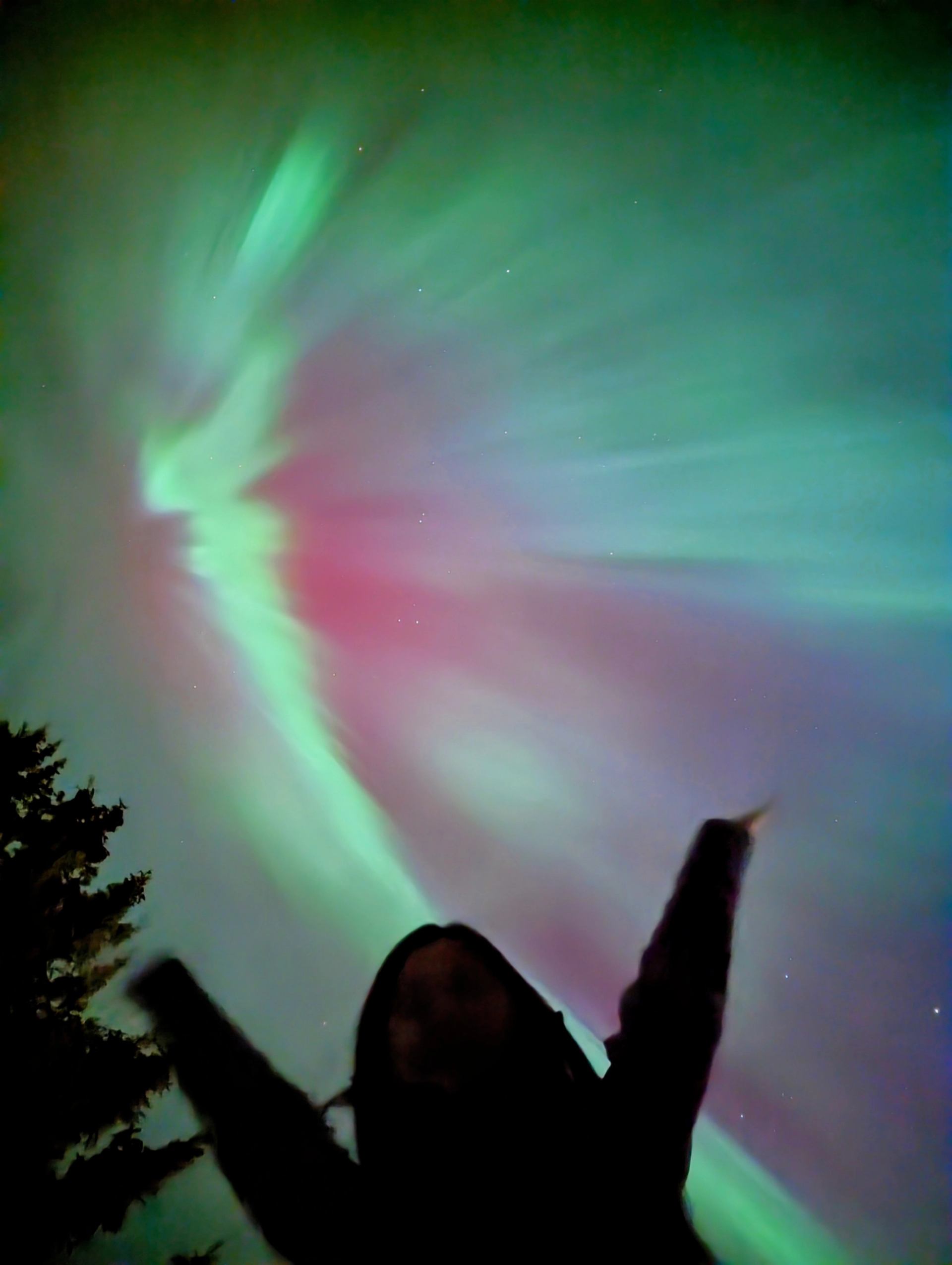 Silhouette of a person raising their arms beneath vibrant green and red aurora lights.