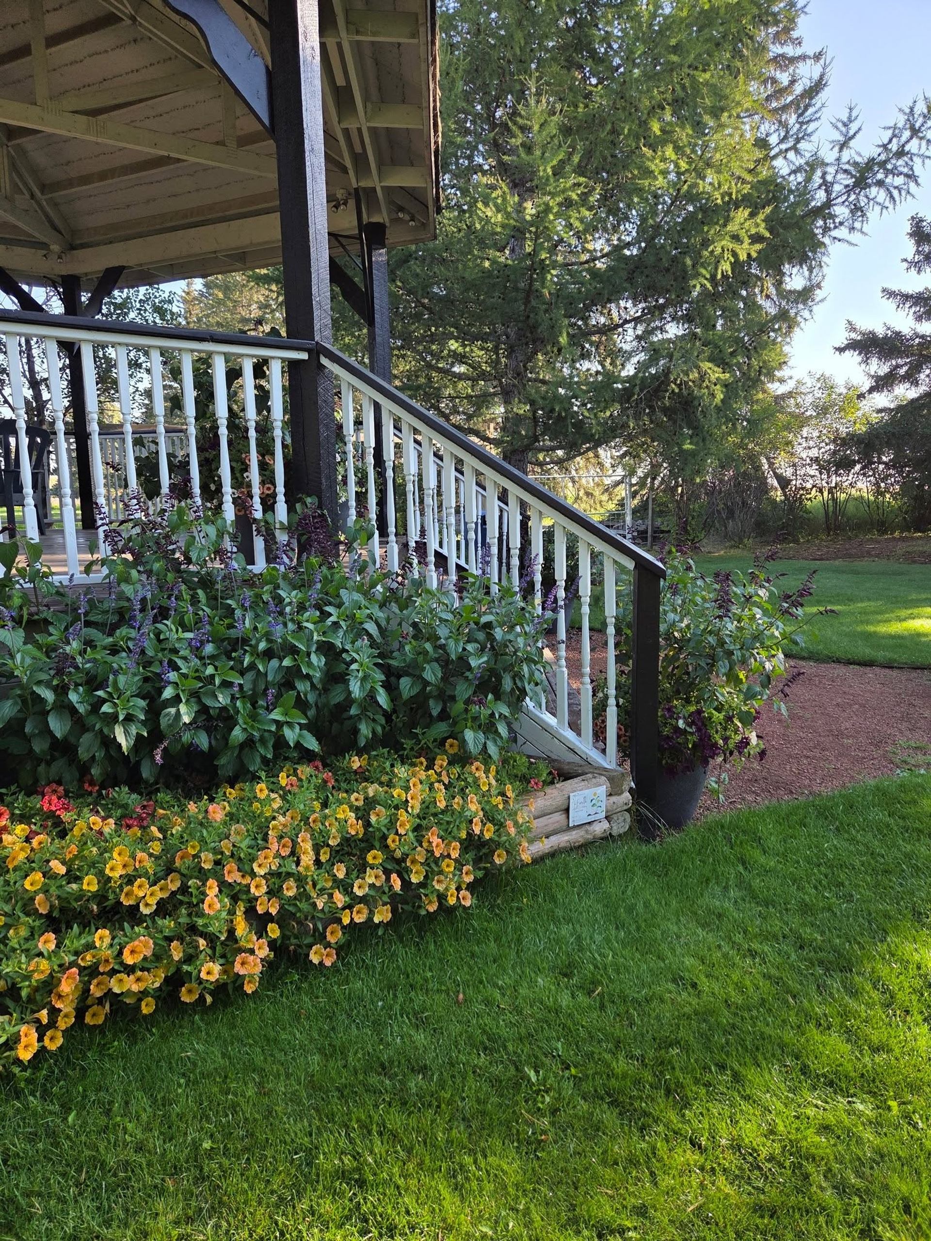 Wooden gazebo with white railing beside flower beds and green lawn under tall trees.