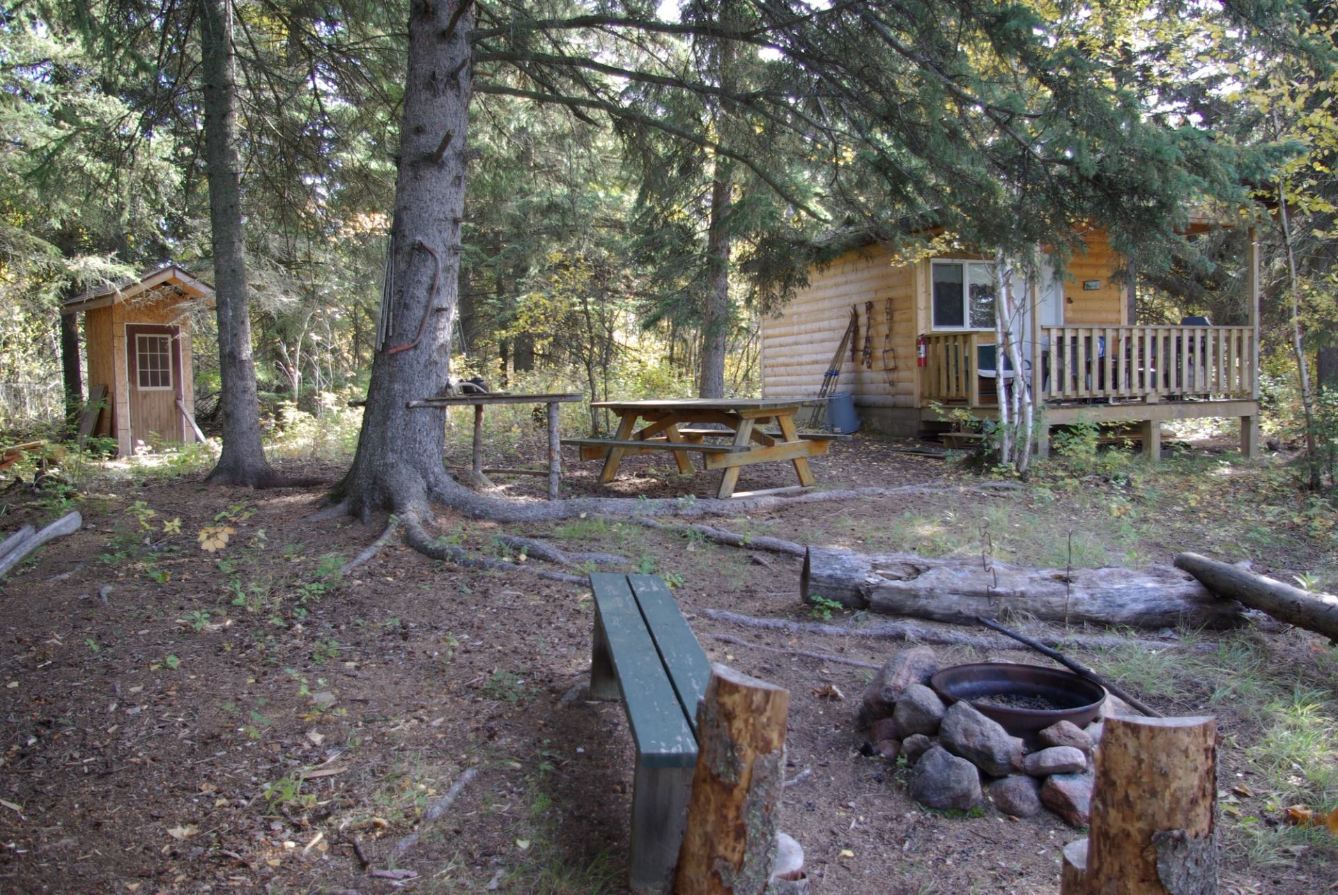 Forest cabin with fire pit, picnic table, and porch surrounded by trees.